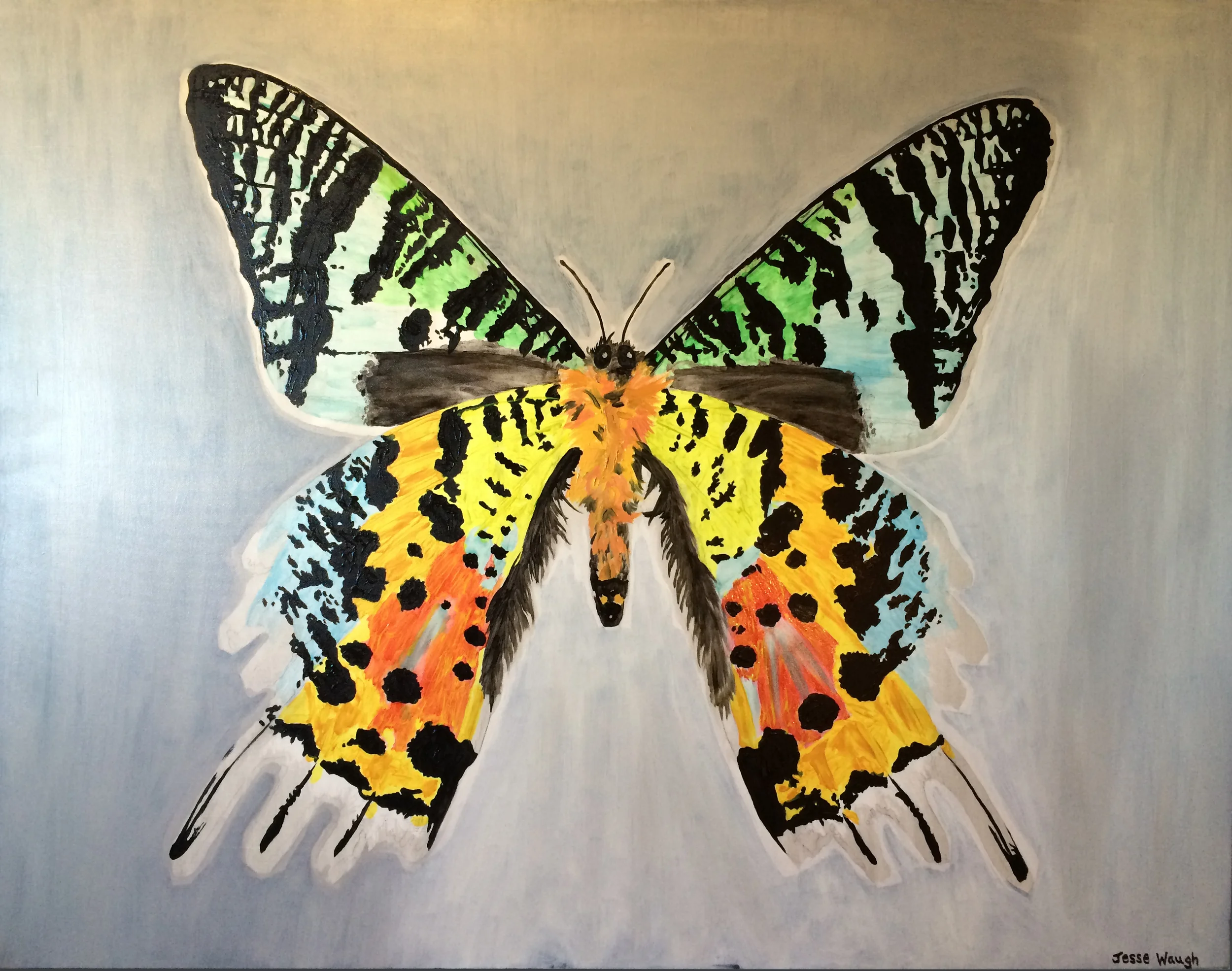Jesse Waugh Sunset Moth 2013 Oil on canvas