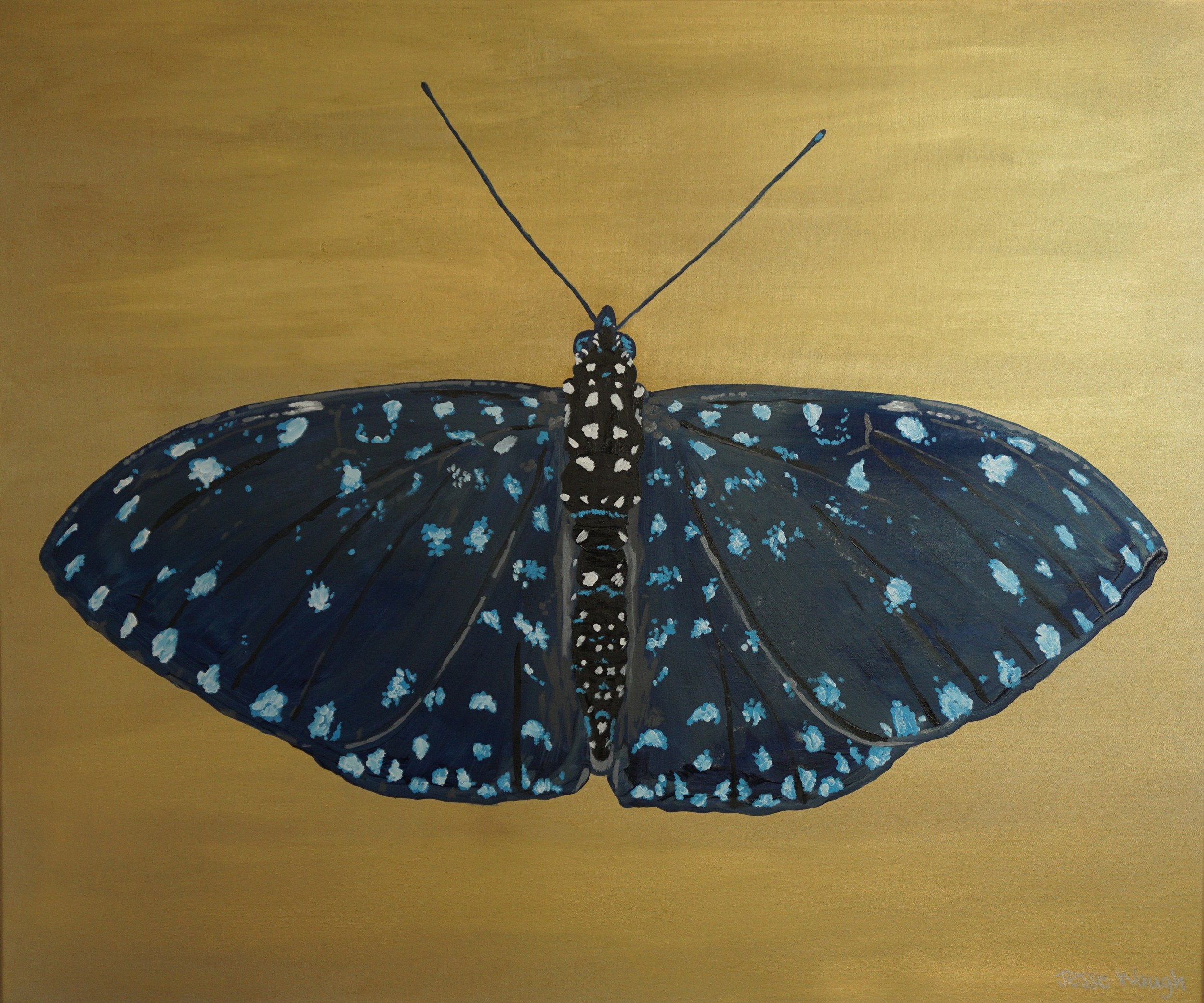 Jesse Waugh Starry Night Cracker (Hamadryas laodamia) Butterfly 2 2014 Oil on canvas 100 X 120 cm
