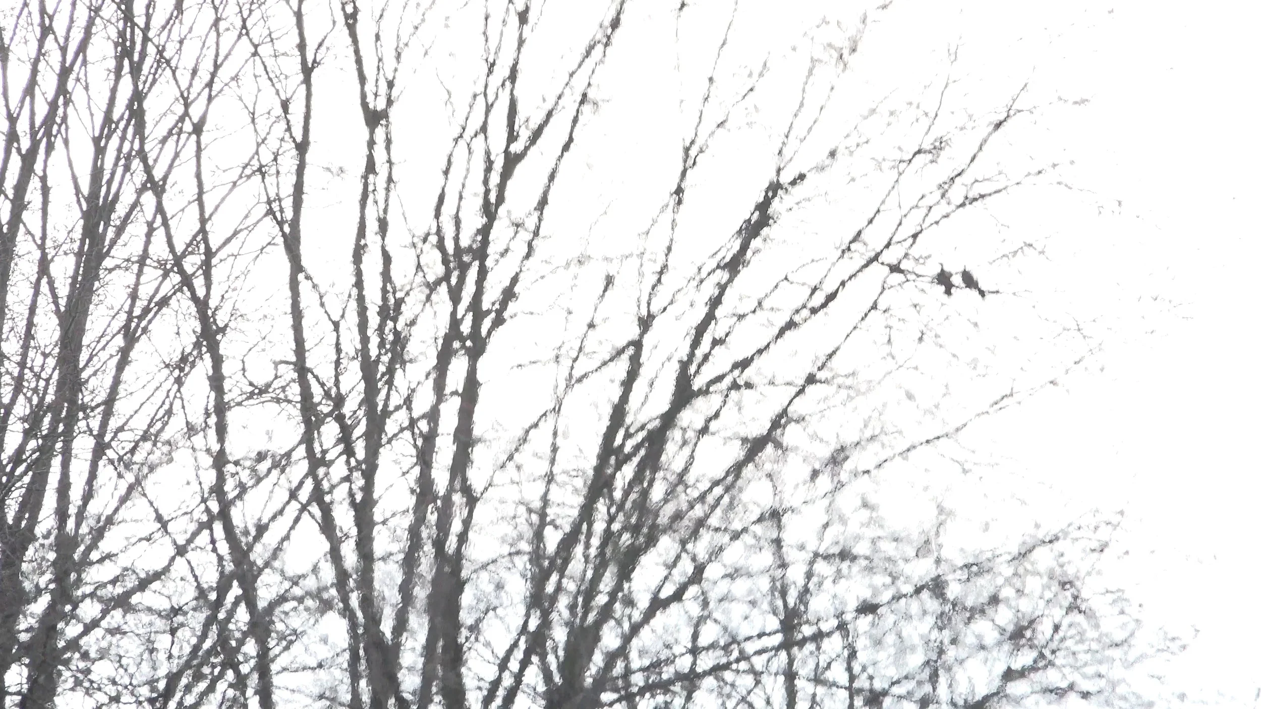 CROWLEY'S INFERNO - WOODVALE CREMATORIUM WHERE ALEISTER CROWLEY'S BODY WAS BURNED