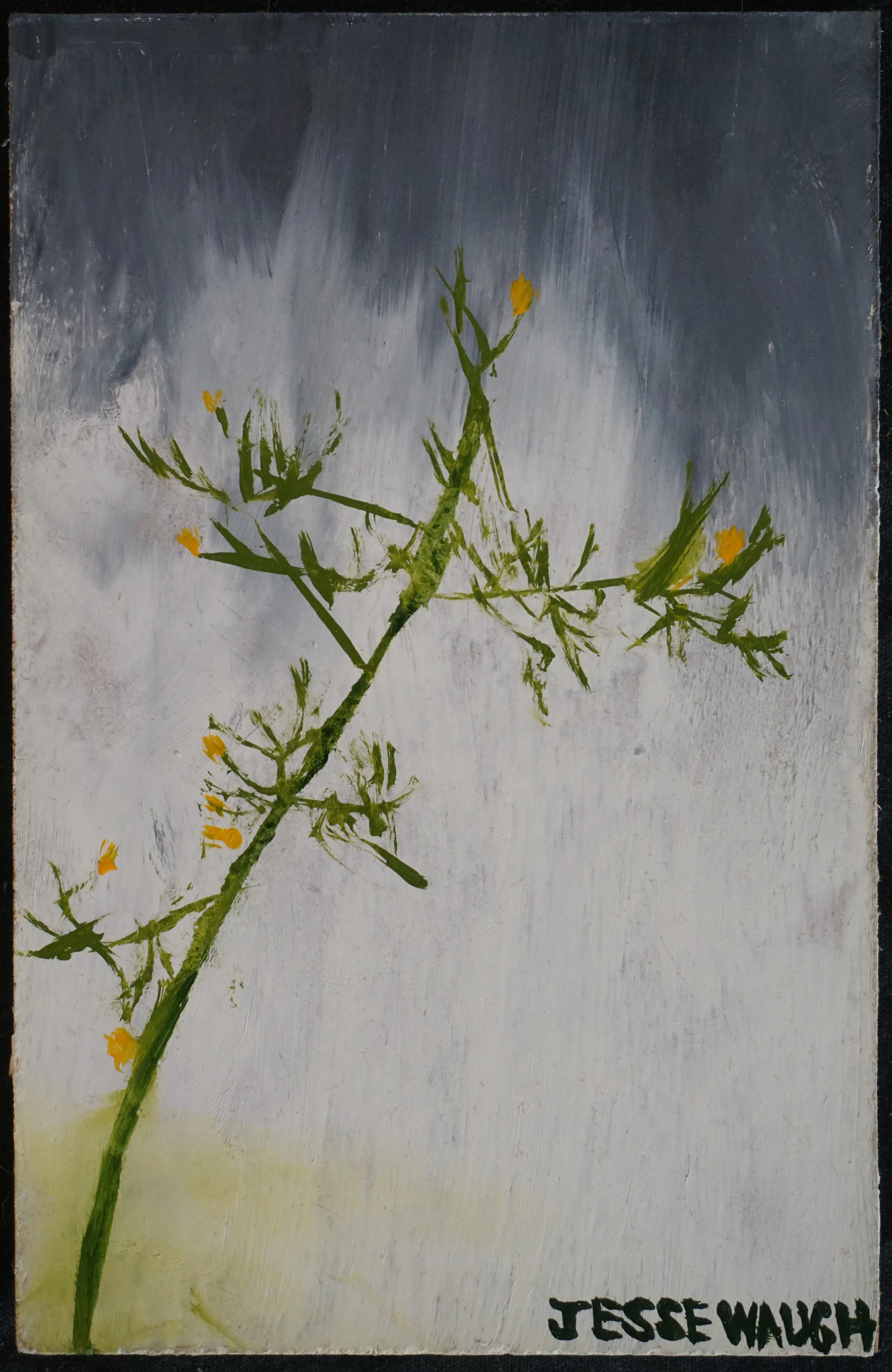 JESSE WAUGH WALL LETTUCE IN THE RAIN 2014 OIL ON BOARD