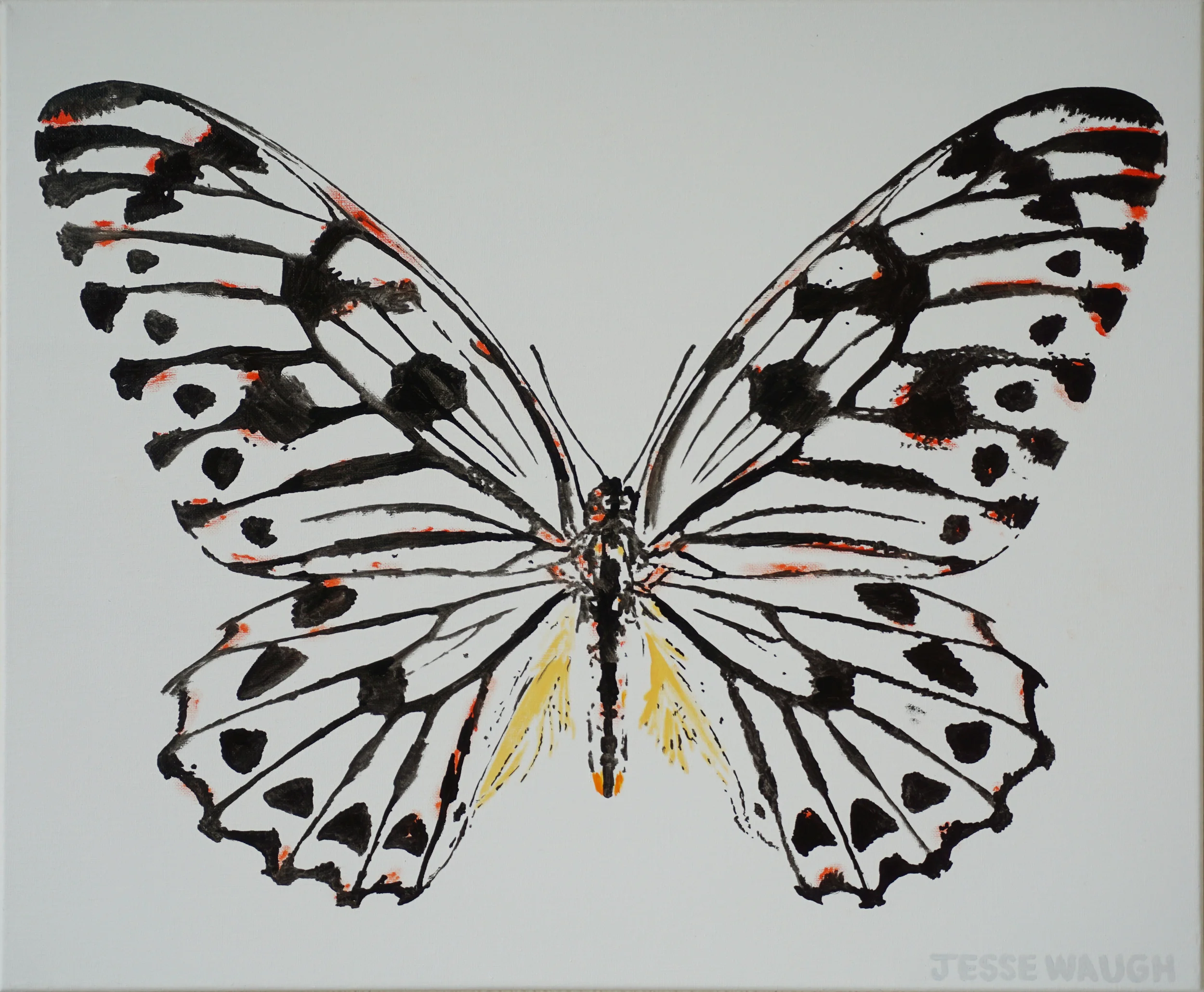 Graphium idaeoides