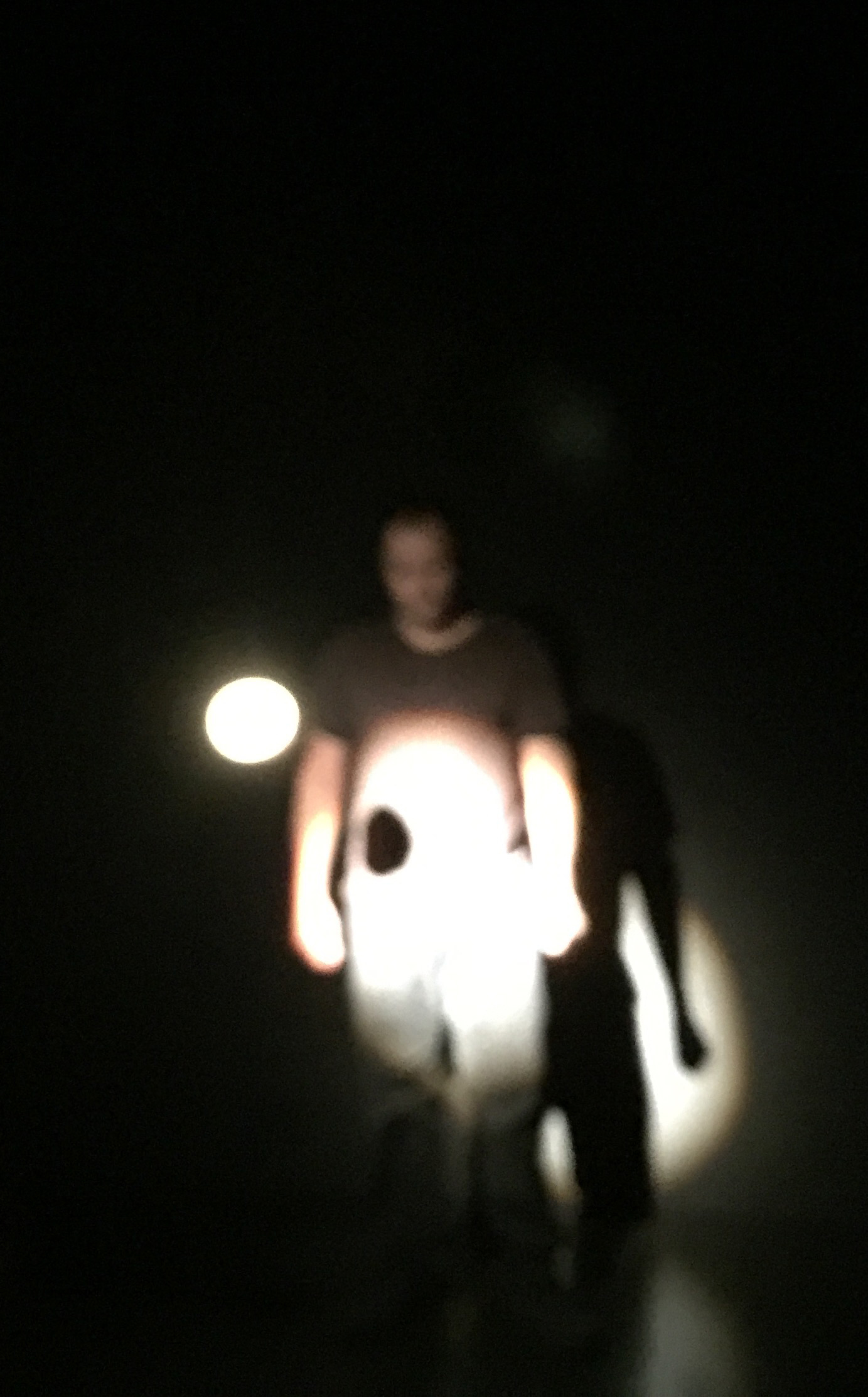 JESSE WAUGH POINT OF LIGHT 2015 PERFORMANCE