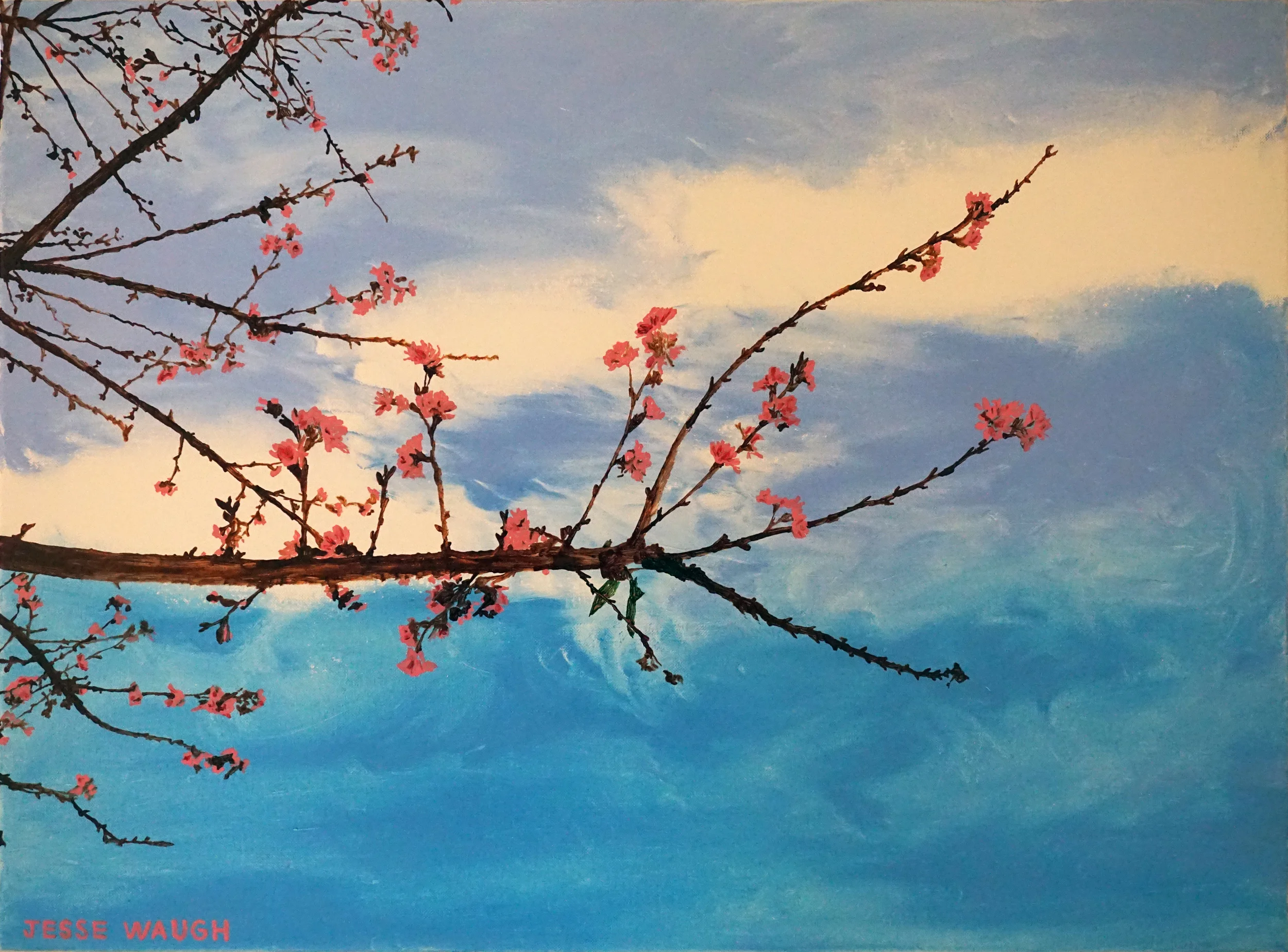 JESSE WAUGH SAKURA CHERRY BLOSSOMS ICHI 2016 OIL ON CANVAS