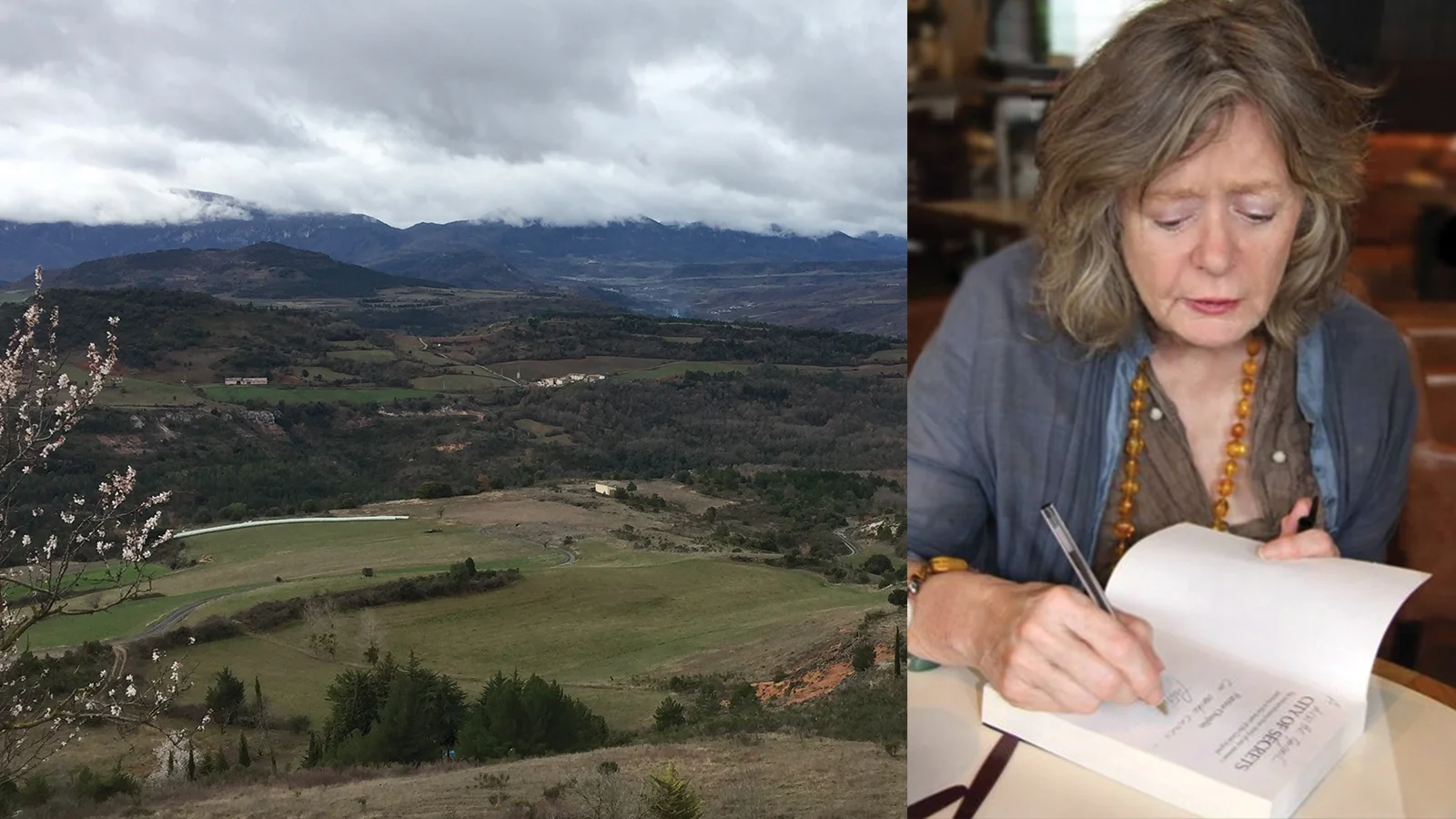 Patrice Chaplin - Life and Death of Modigliani and The Pyrenean Portal