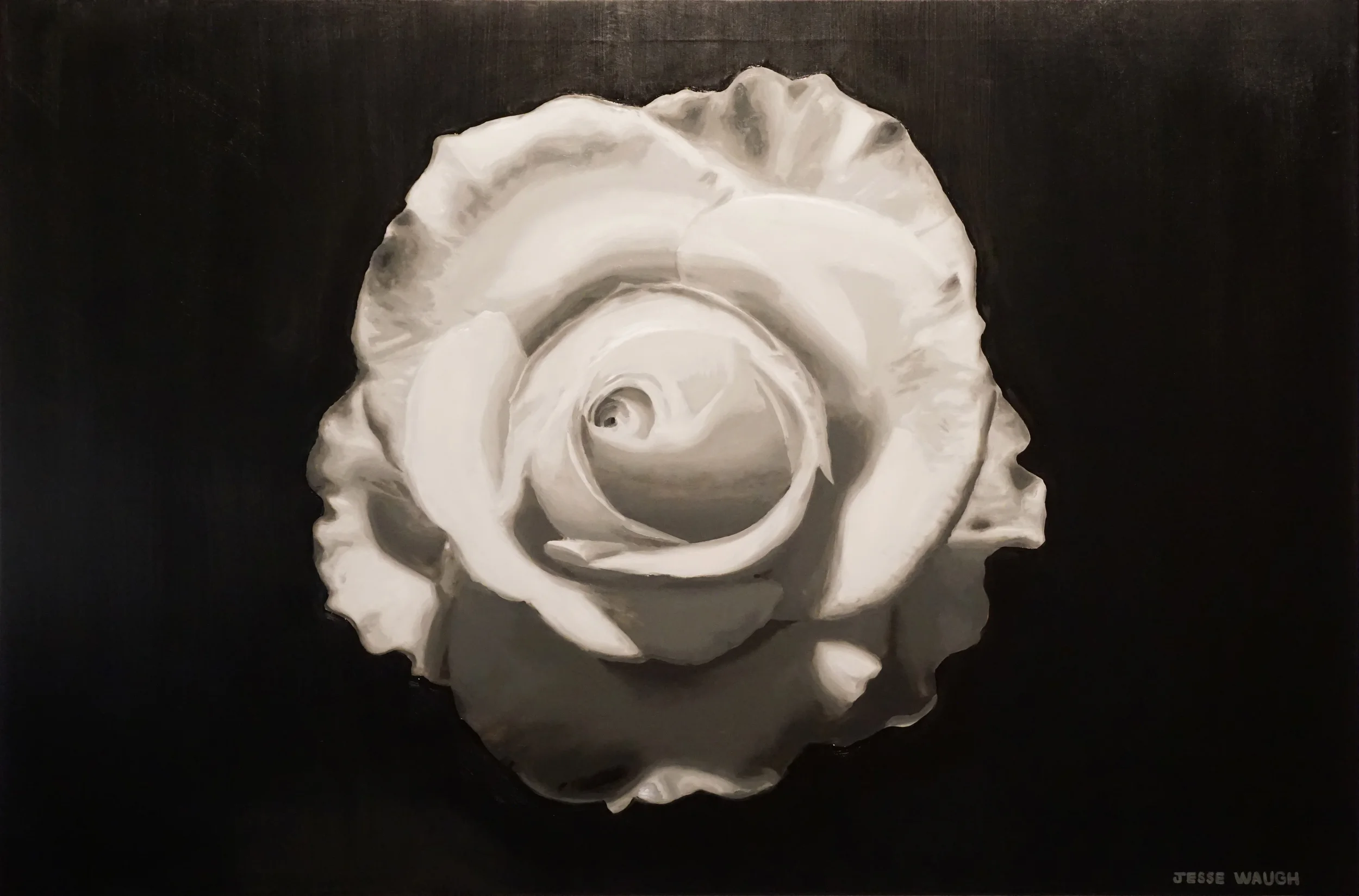 JESSE WAUGH WHITE ROSE 2016 OIL ON CANVAS 146 X 97 CM