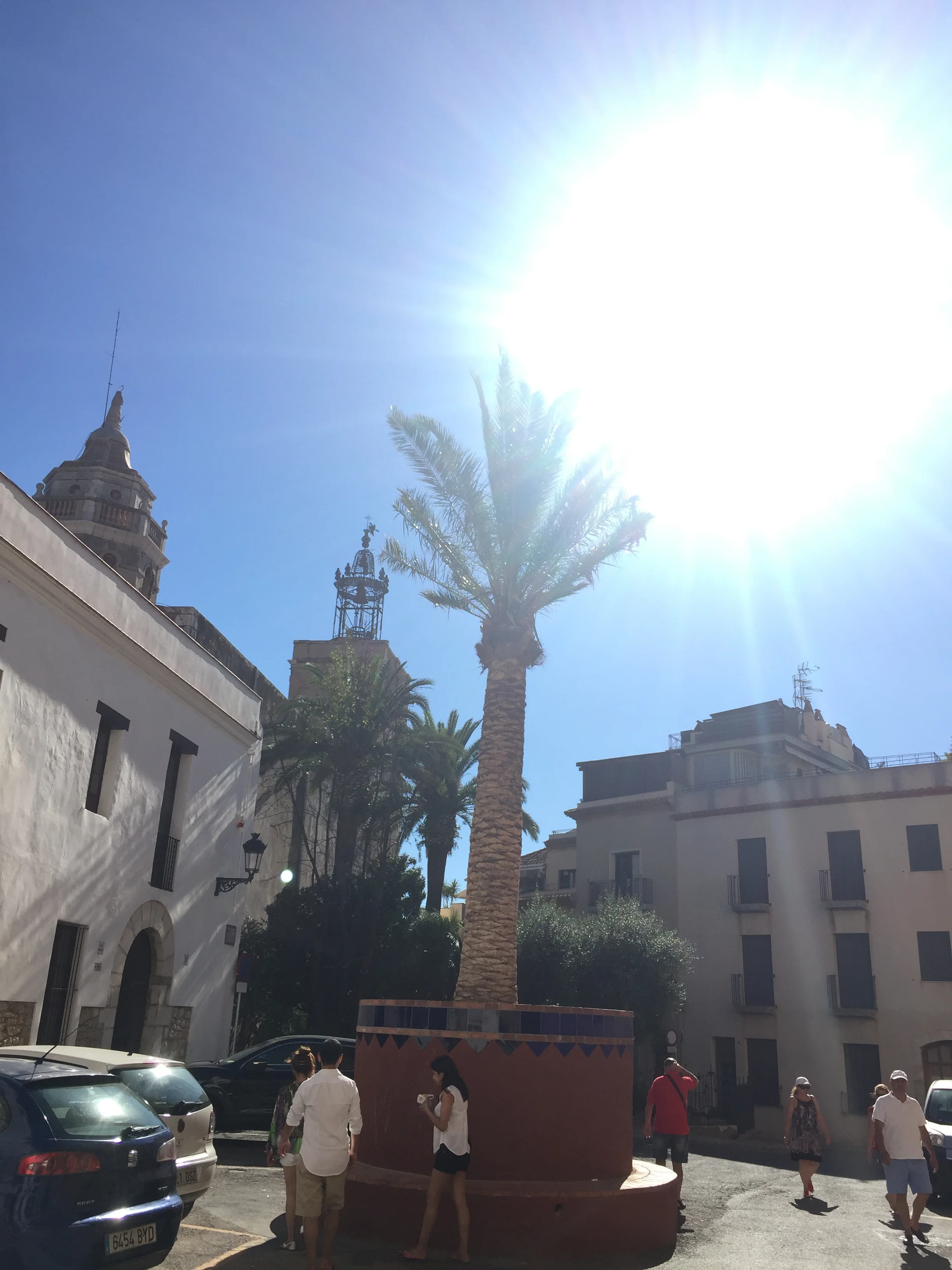 New Maricel Palm in Sitges, Spain