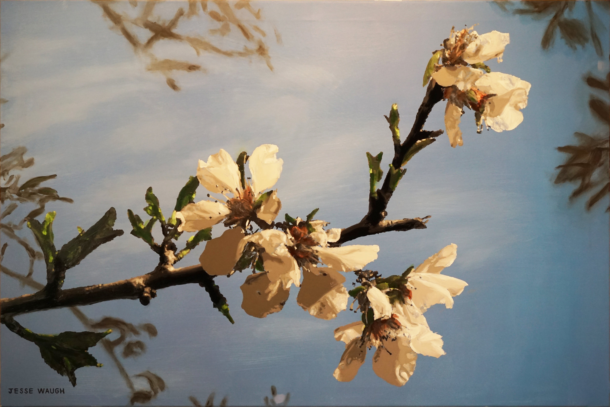2017-03-08-LArt-Nouveau-Almond-Blossoms-JESSE-WAUGH-jessewaugh.com.jpg