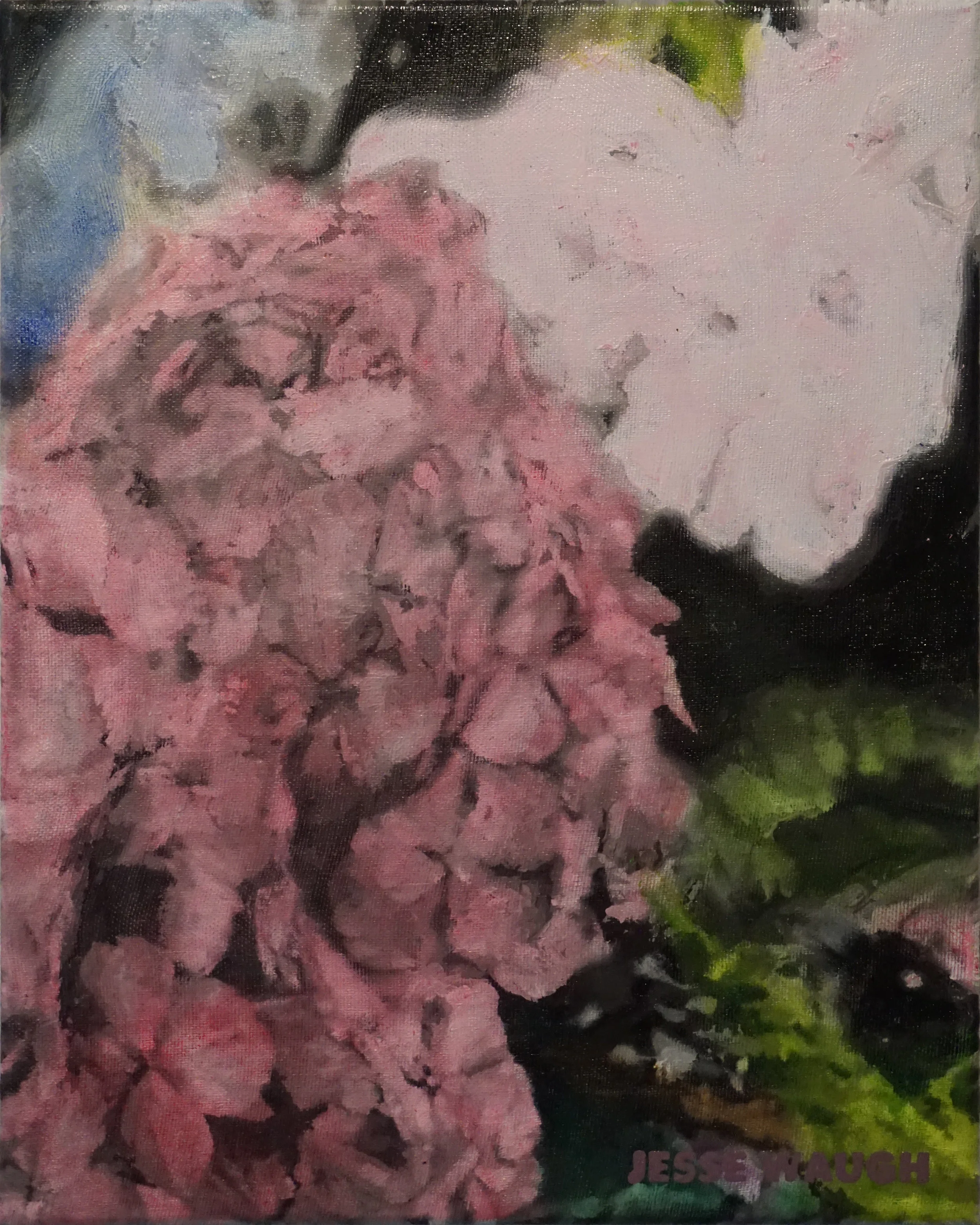 JESSE WAUGH HYDRANGEAS AT ARLEY HERBACEOUS BORDER 2017 OIL ON CANVAS 33 X 41 CM