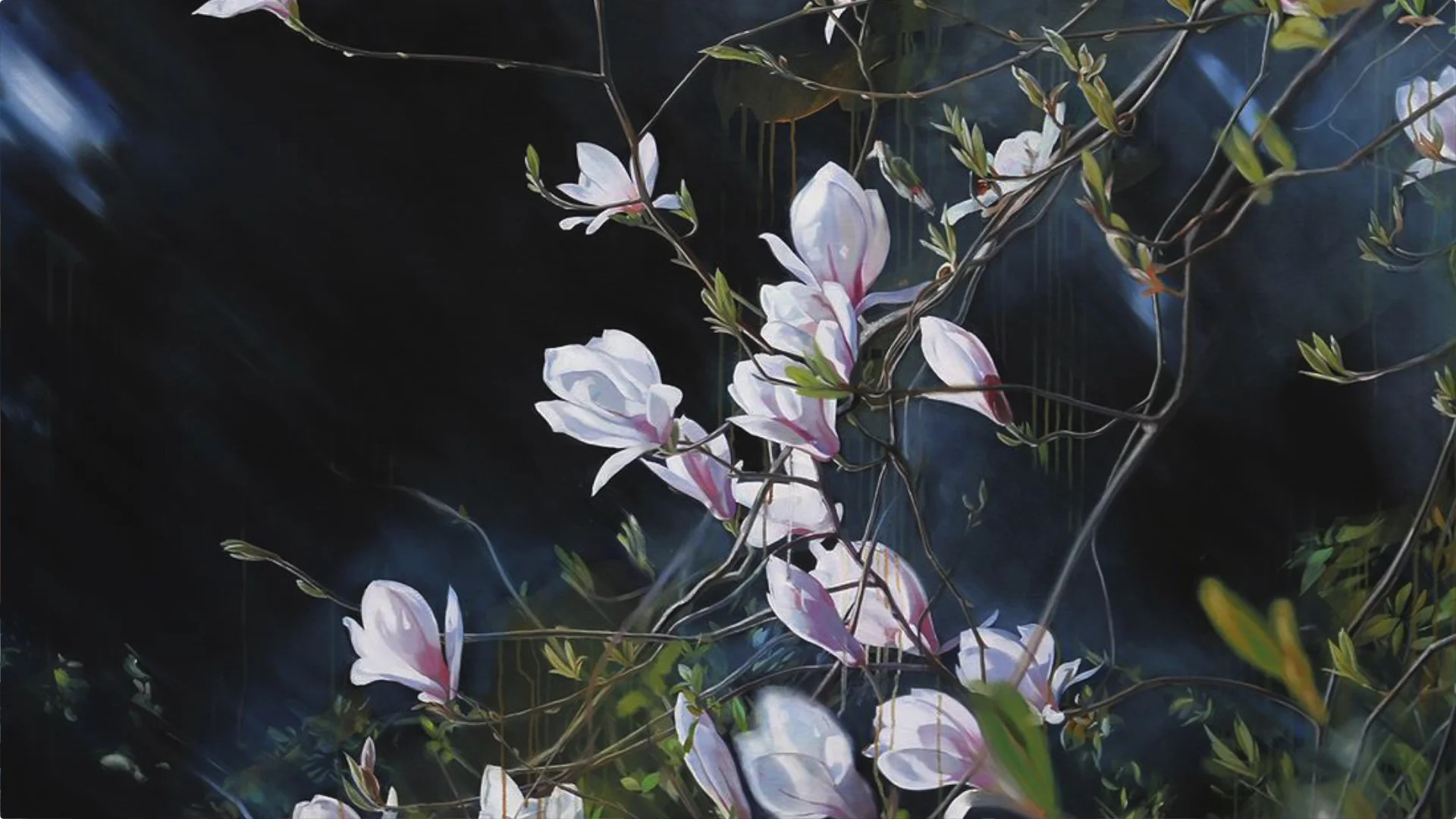 LIOBA BRUCKNER ARTIST SPOTLIGHT - JESSE WAUGH