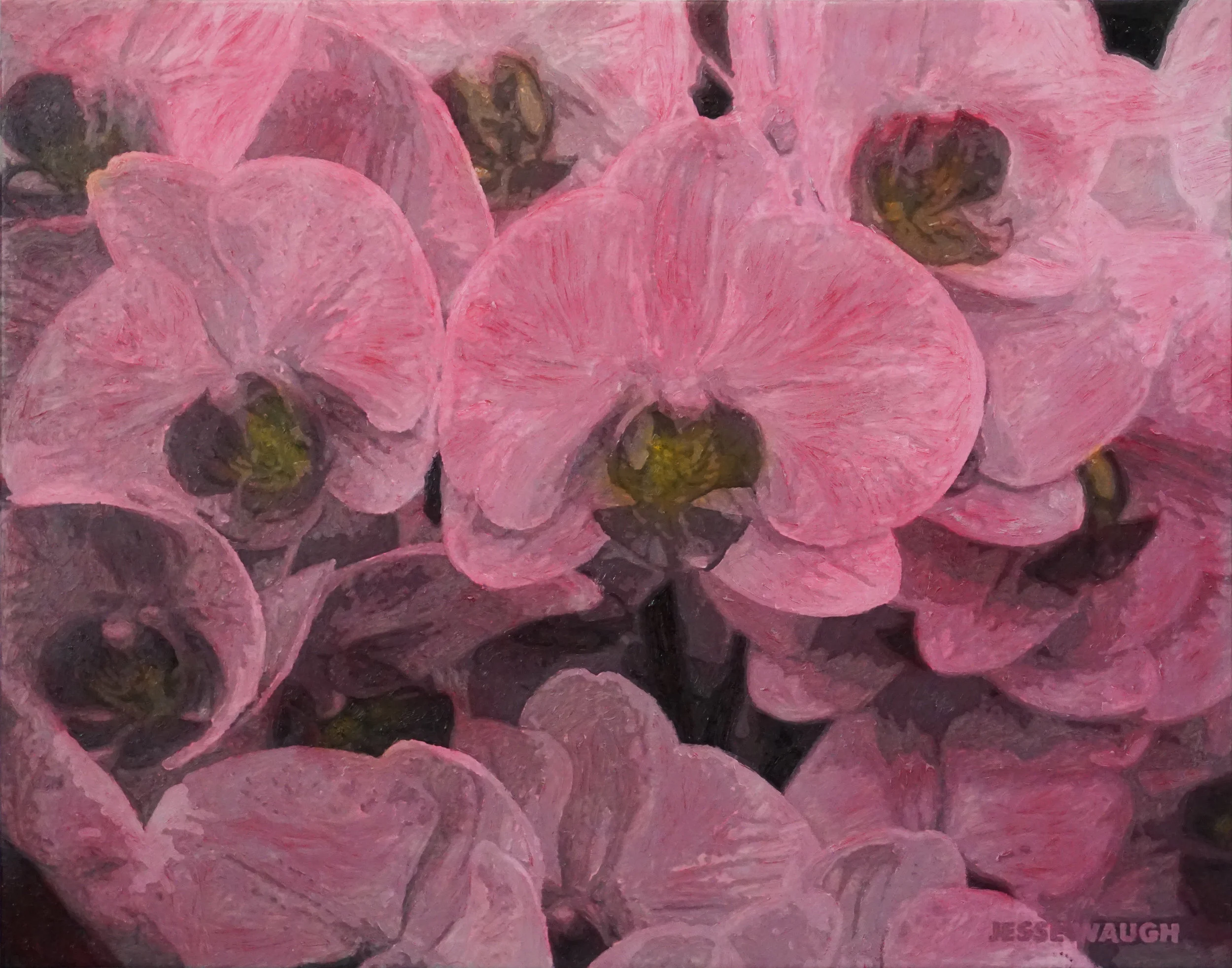 JESSE WAUGH PINK ORCHIDS AT HAMPTON COURT FLOWER SHOW 2019-03-03 OIL ON CANVAS 92 X 73 CM (30F)