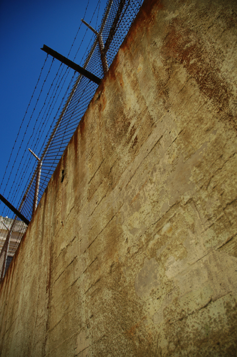 DSC_0443low.jpg