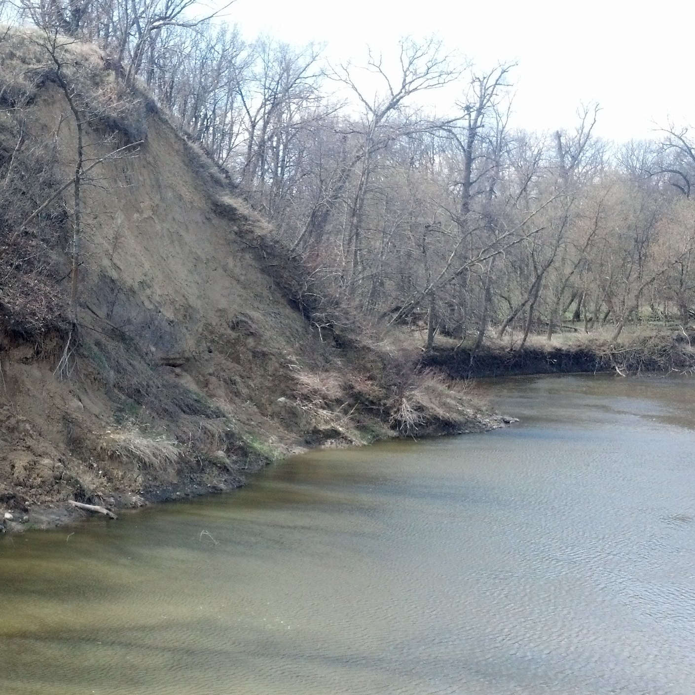 Stream bank erosion
