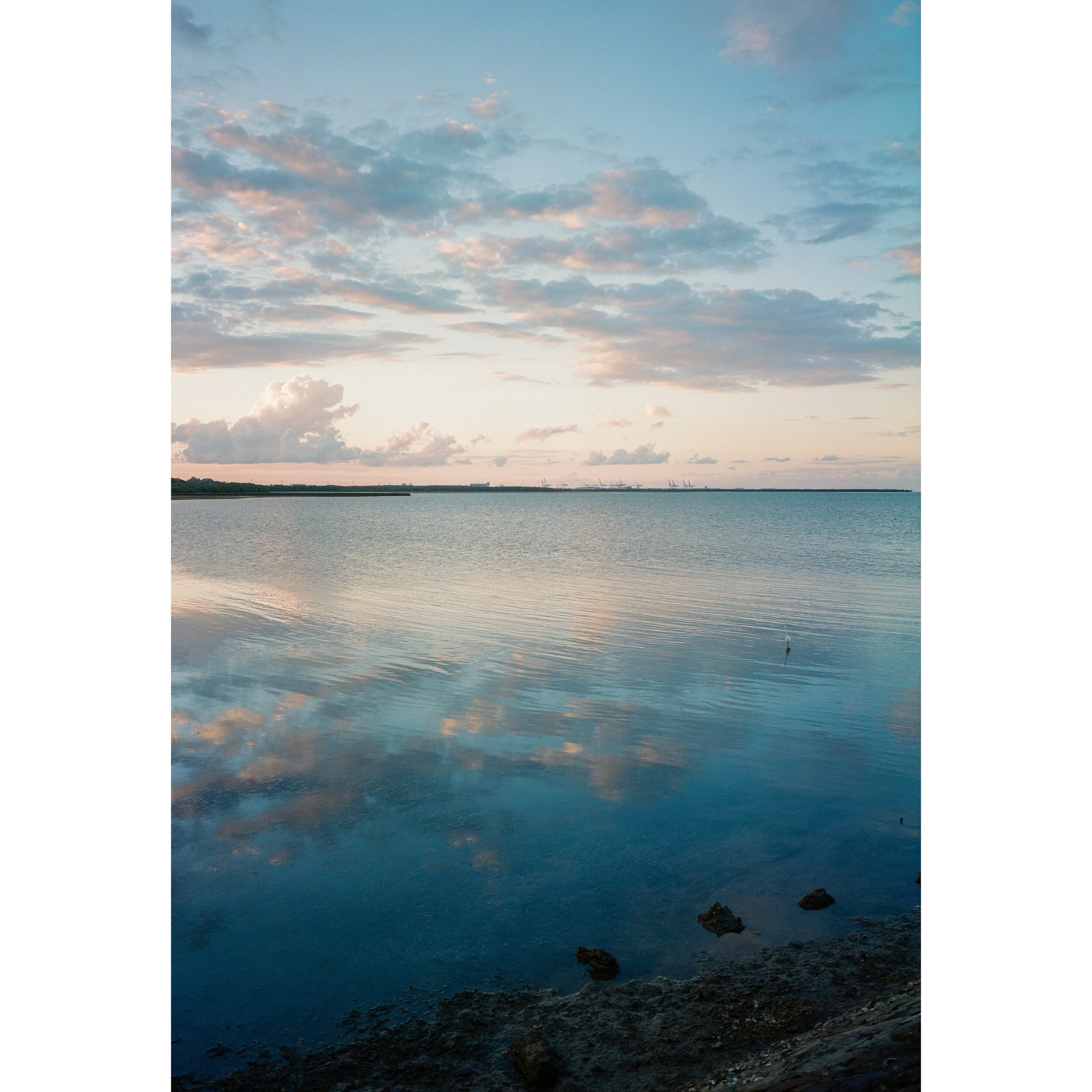 2E9E1F3F-E9E8-46A2-A8F6-43B0253D5BC5