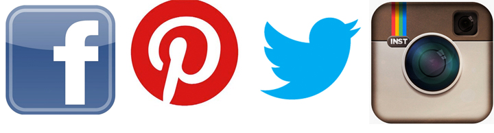 Here are the buttons you'll see for Facebook, Pinterest, Twitter, and Instagram.