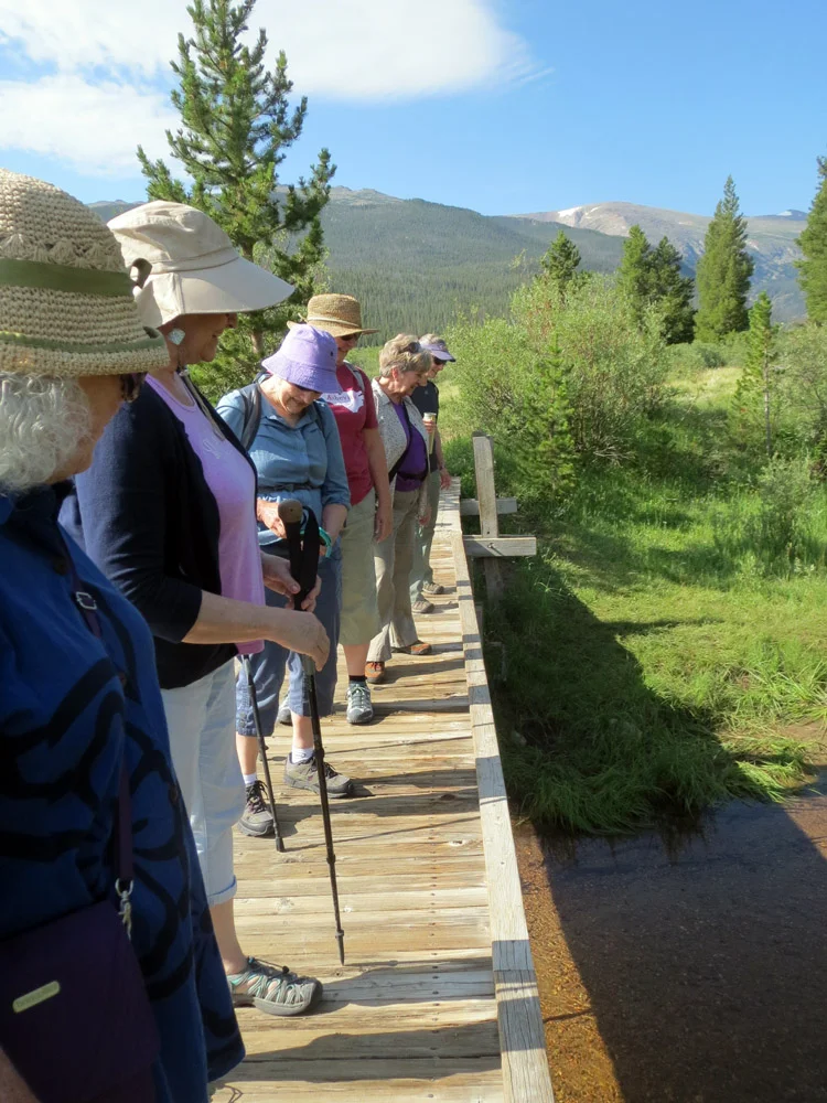 Group walk to Denny's Point started on this bridge over the creek. 