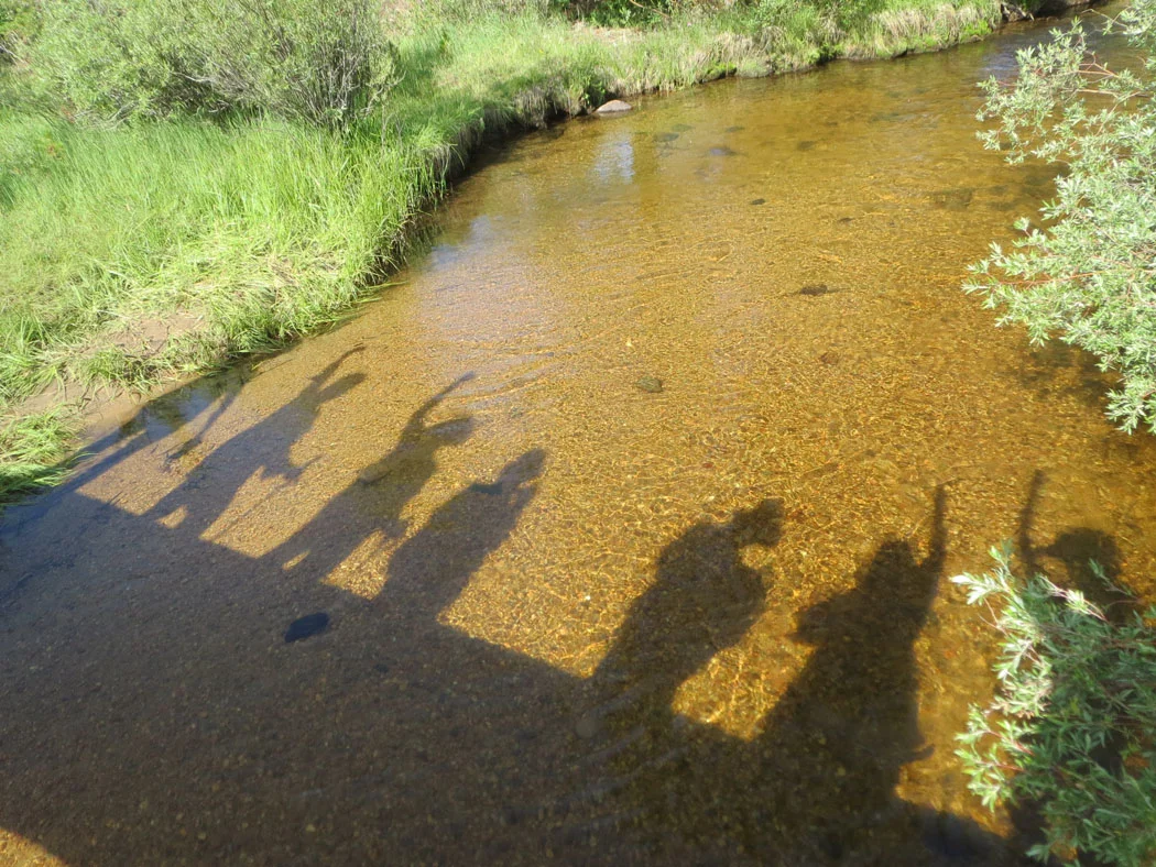 Get a group of artists together, and they'll find something interesting like shadows in the creek. They'll also goof off when prompted for a photo.