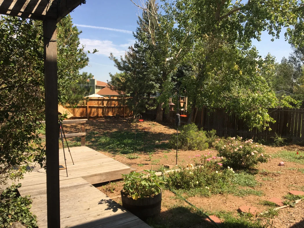 Eclipse 2017; it was not dark outside, but the light was very red. We had 95% totality in northern Colorado.