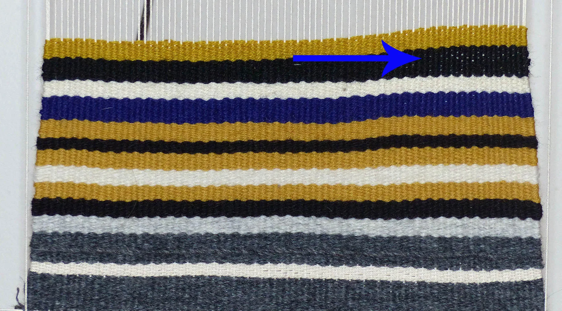 In this example, lice are showing in the area where the warps are narrower. 