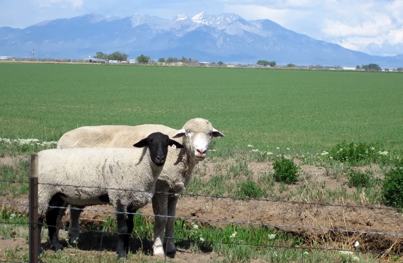 My latest favorite art/craft inspiration reads