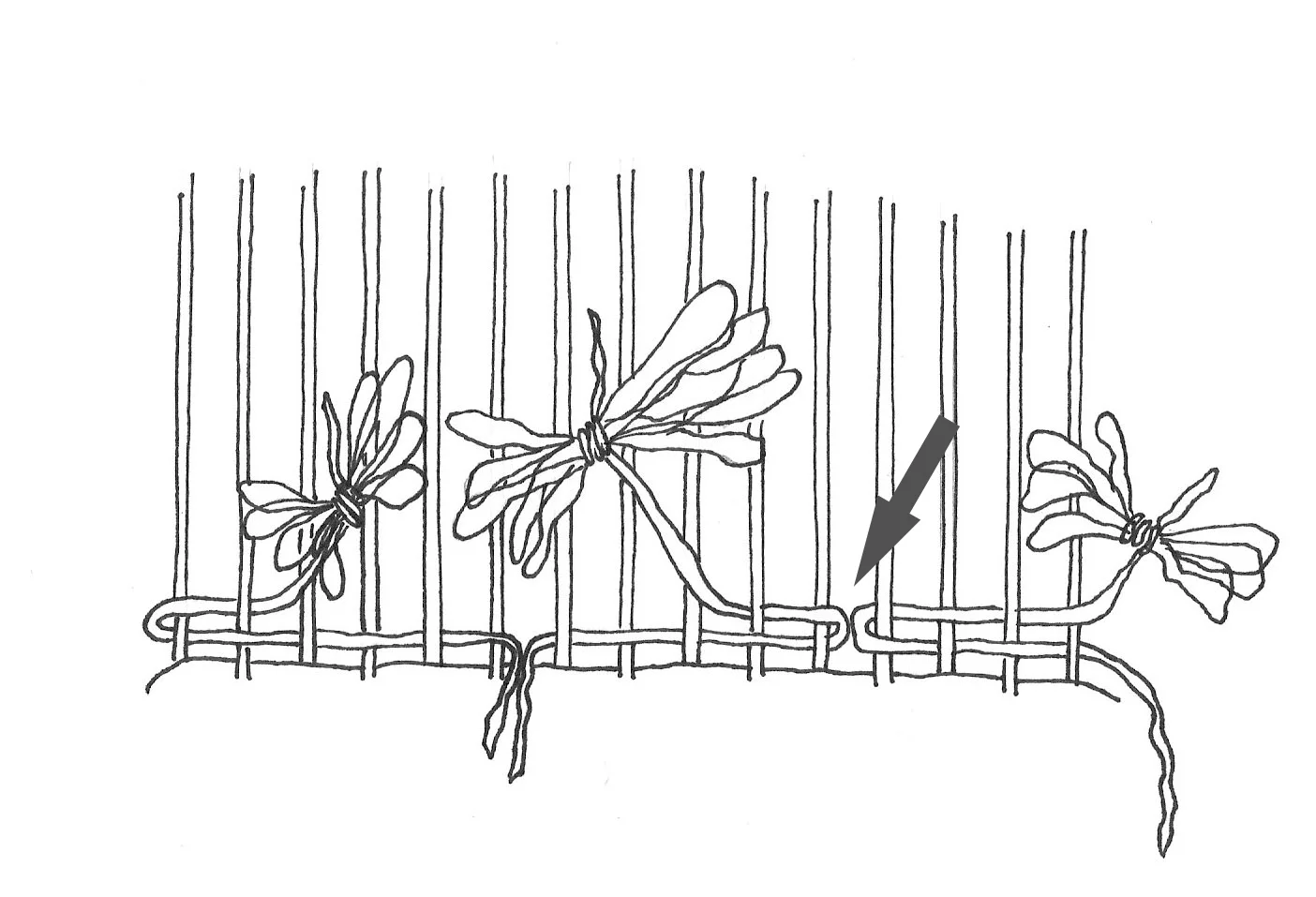 ThreeButterflySetInCrop.jpg
