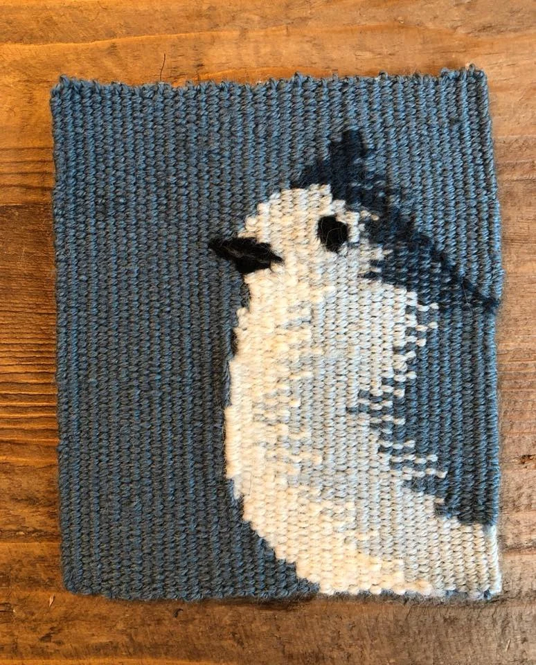 Robyn Tanchum, four selvedge tapestry completed in Fringeless: Four Selvedge Warping with Sarah C. Swett