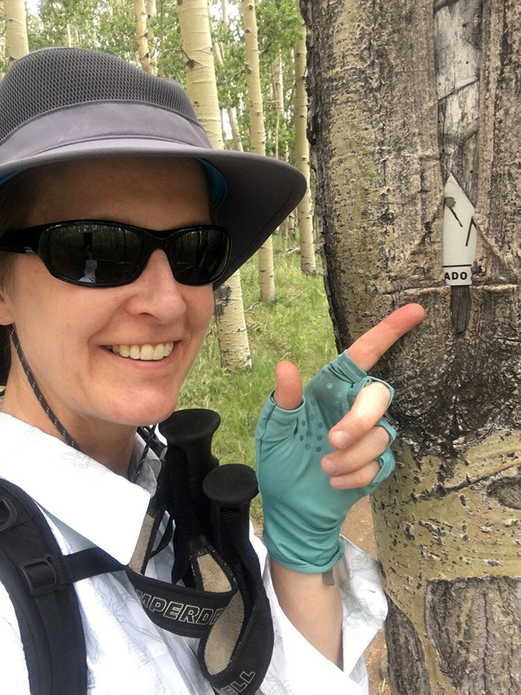 A training hike on the Colorado Trail, Segment 5. The trail marker is a triangle that says Colorado Trail on it, but this one has been swallowed by the tree.