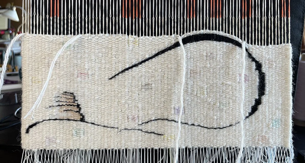 White rocks CTS banner.jpg