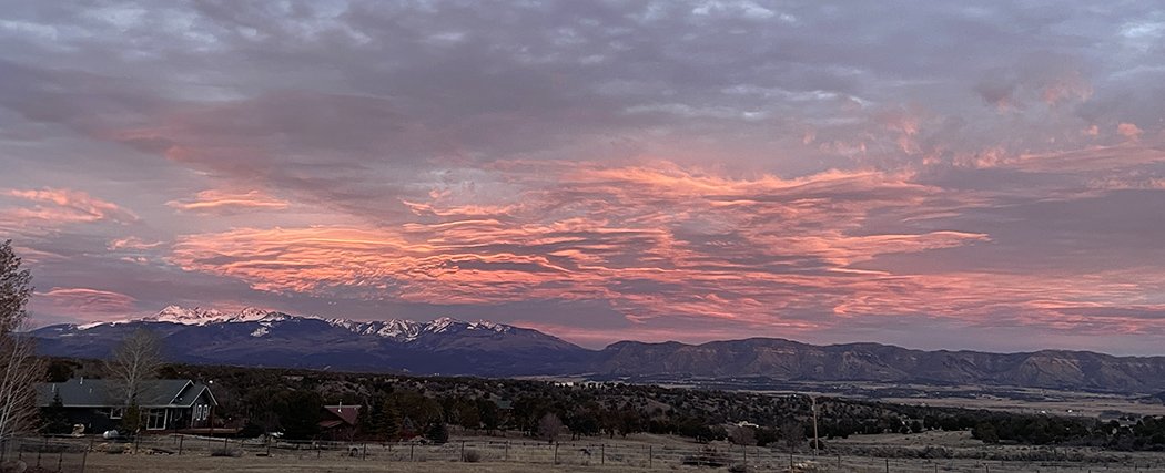 2026 so far in photos