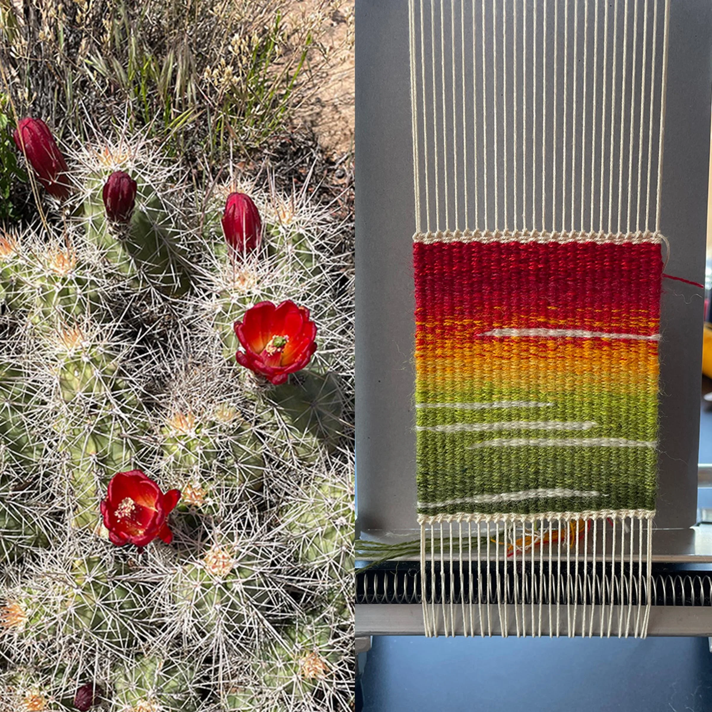 Summer of Tapestry updates