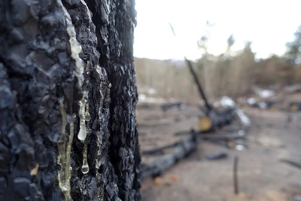 The colors and sketch tapestries of wildfire season