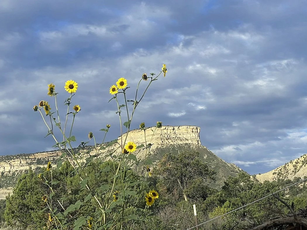 Living in the shadow of a national park. The ultimate inspiration and the importance of public lands.