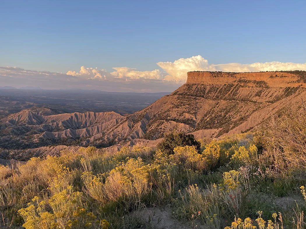 View of Lookout Point at Mesa Verde National Park