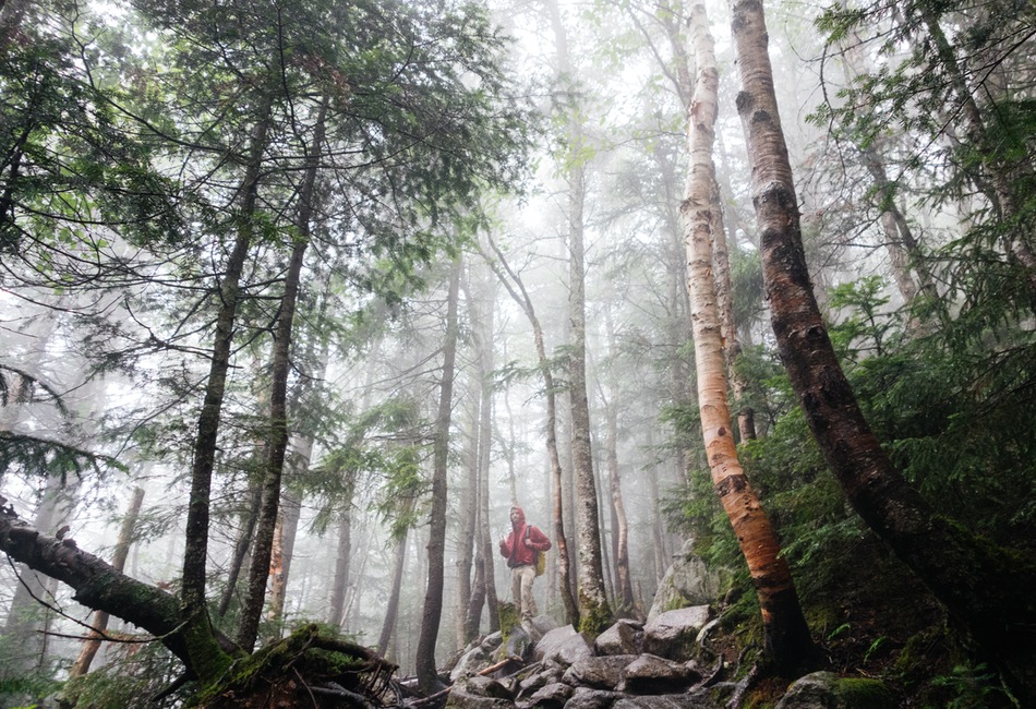 Leader Serves by Leading