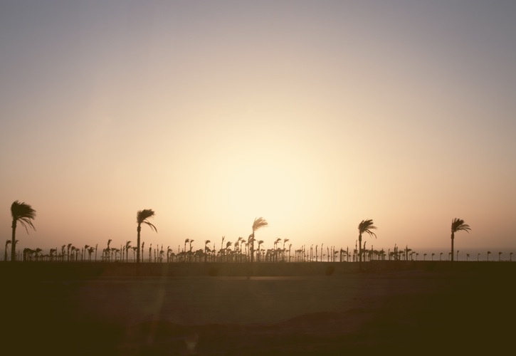 Motivation for Discipleship