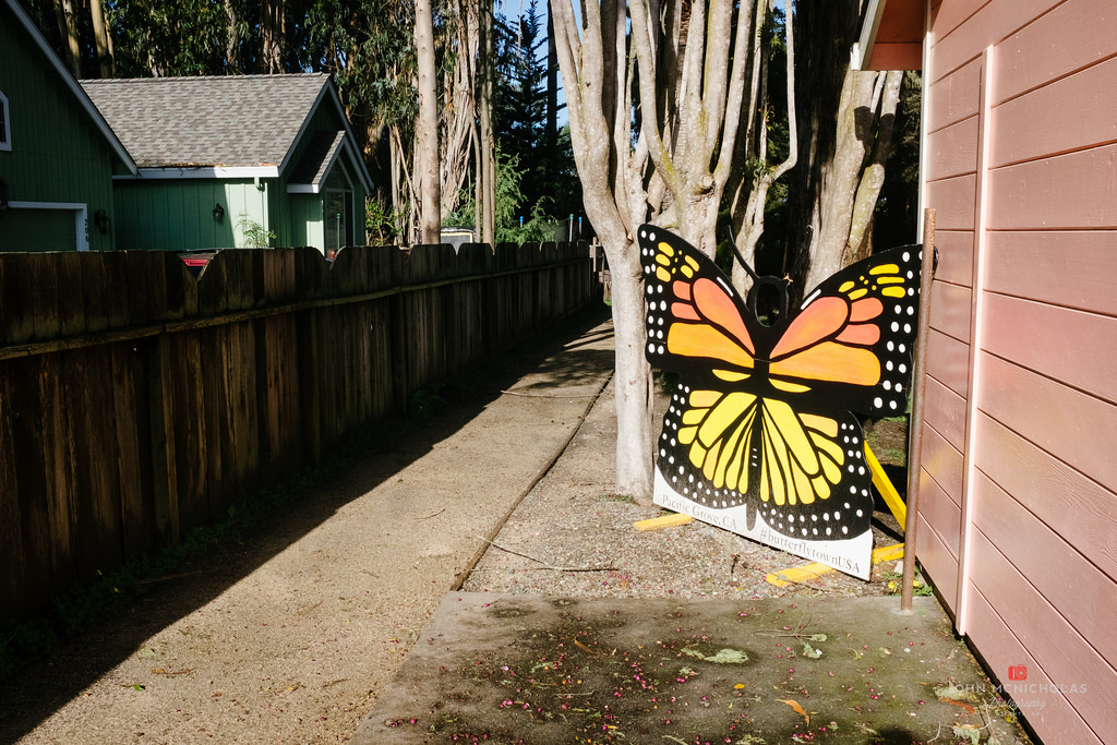 Monarch Grove Sanctuary_25735895095_l.jpg