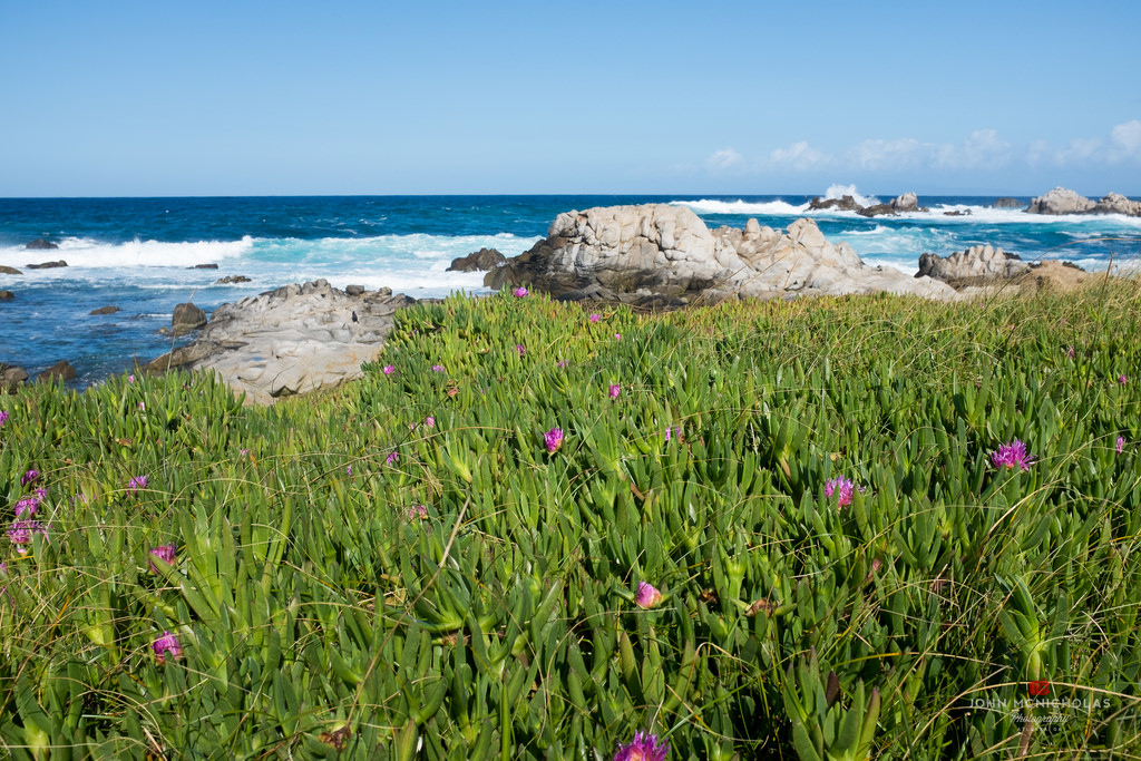 Point Pinos_25640885281_l.jpg