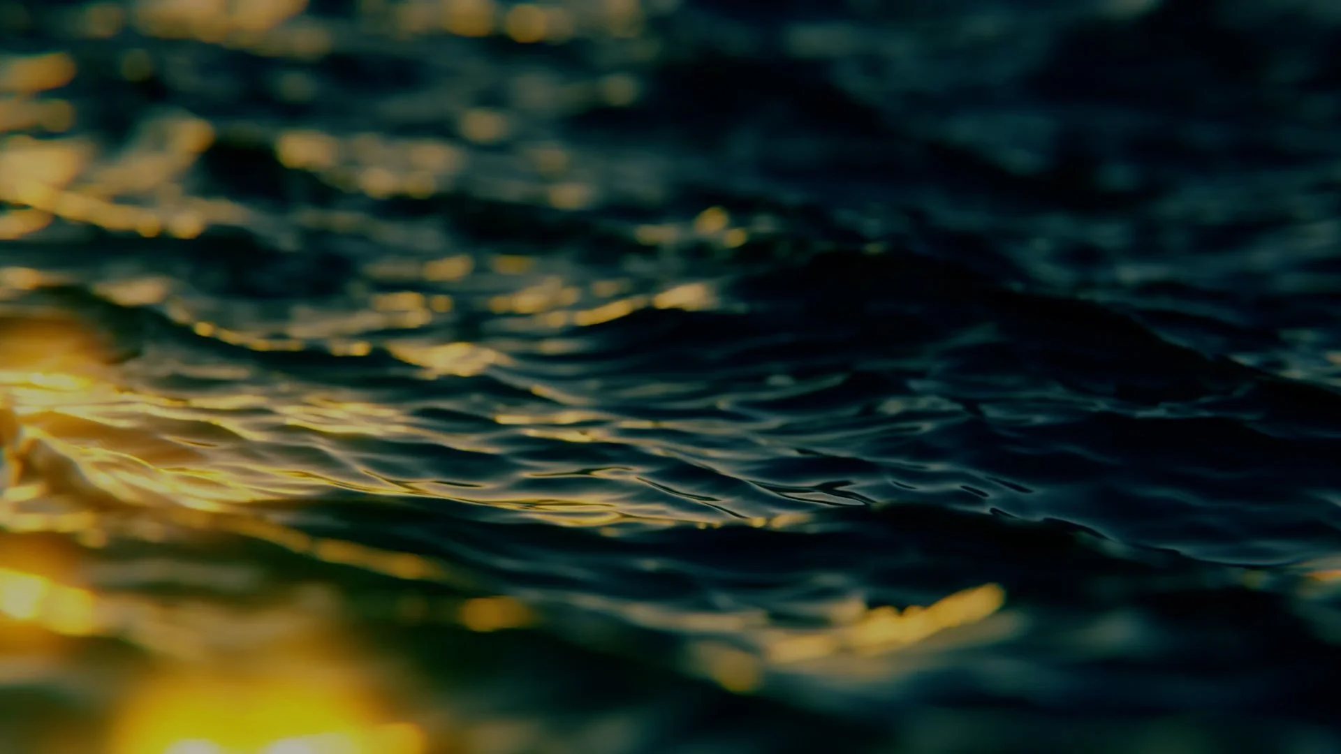 OCEAN.jpg