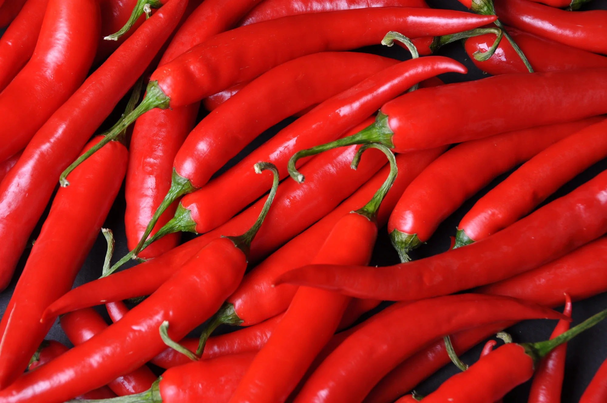 Red Chilies