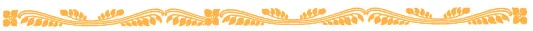orange-border.jpg