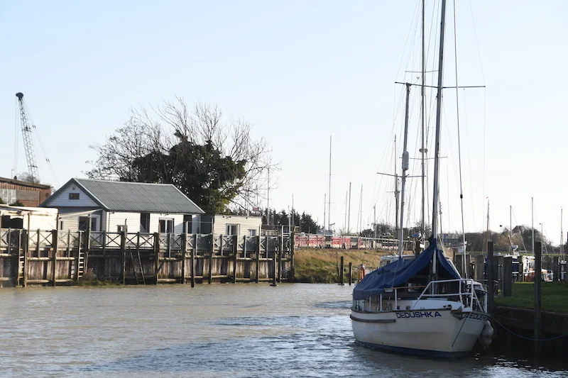 Rye - 67.jpg