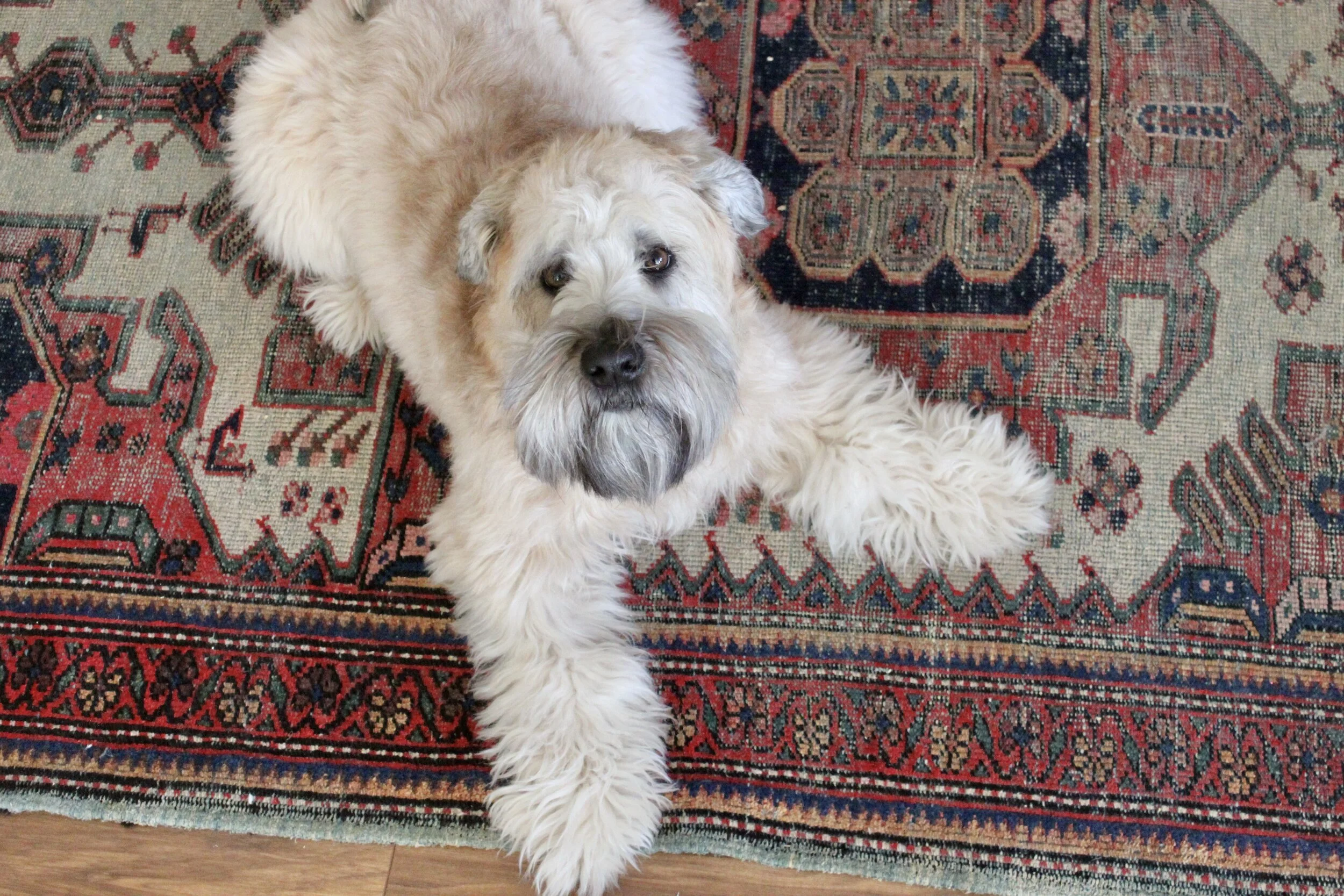 strange times indeed.