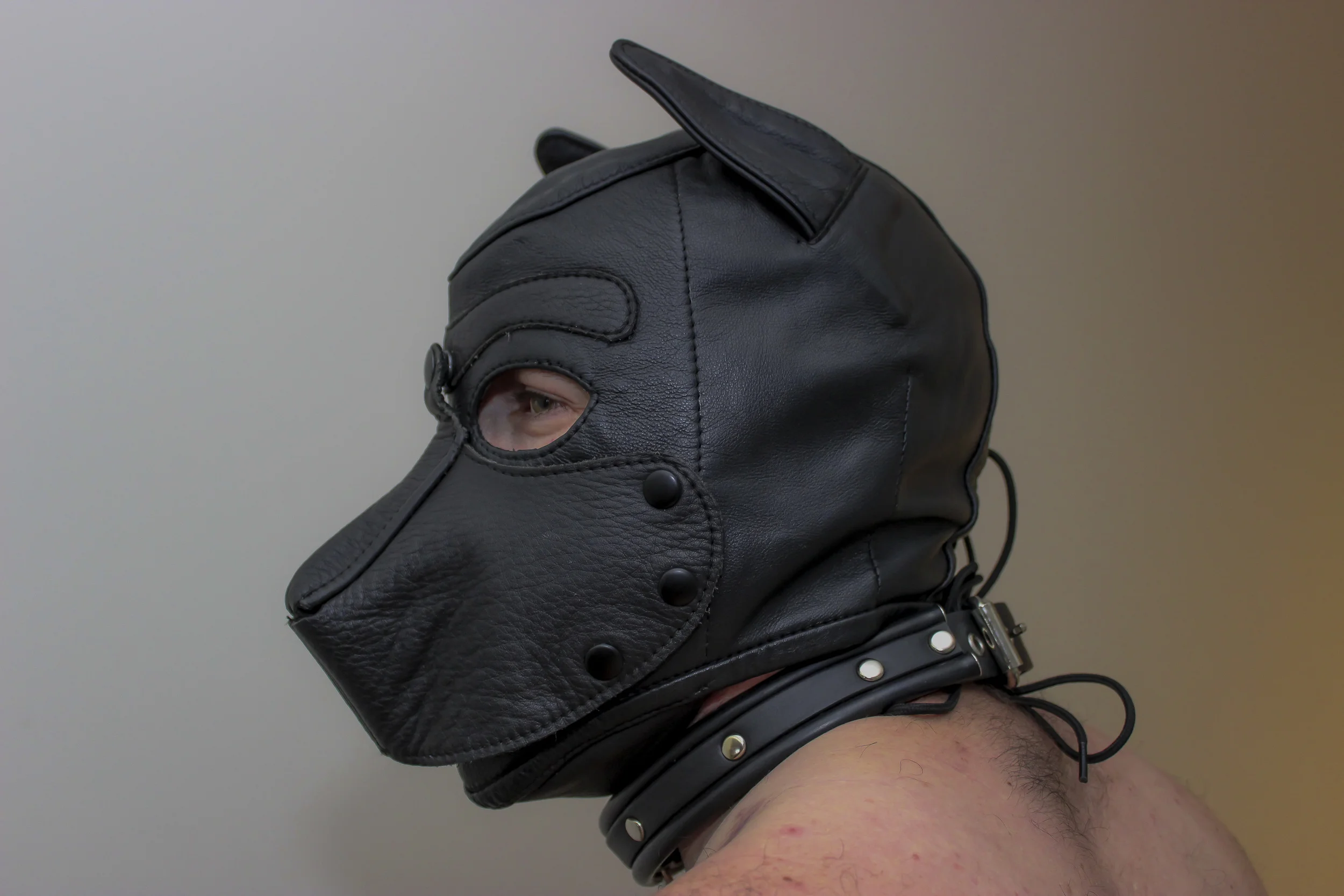 Sirius Pup Myth 4 - It's a cult!