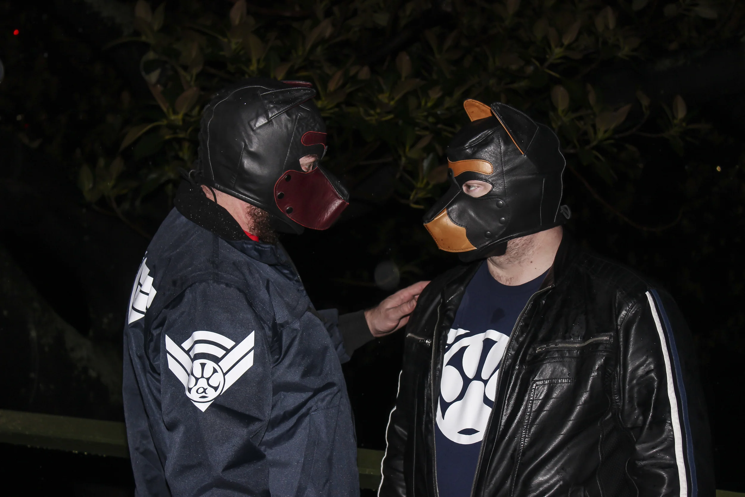 Sirius Pup Myth 9 - Relationships of only Sir and Pup in the pack