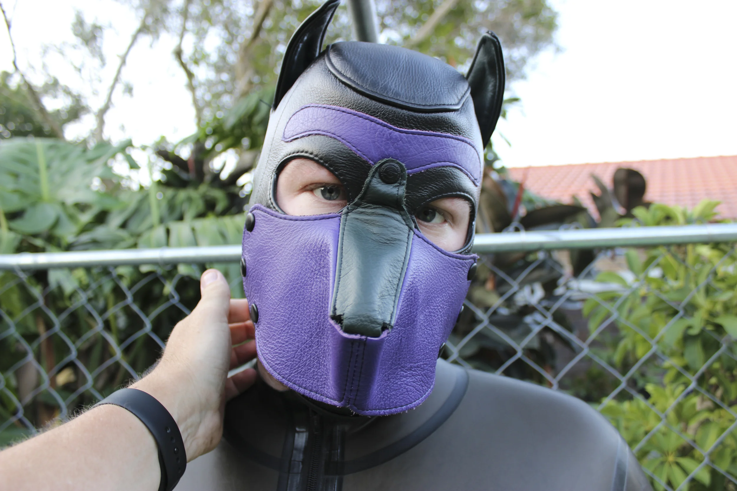 Human Pup Play - Where do we go from here? 