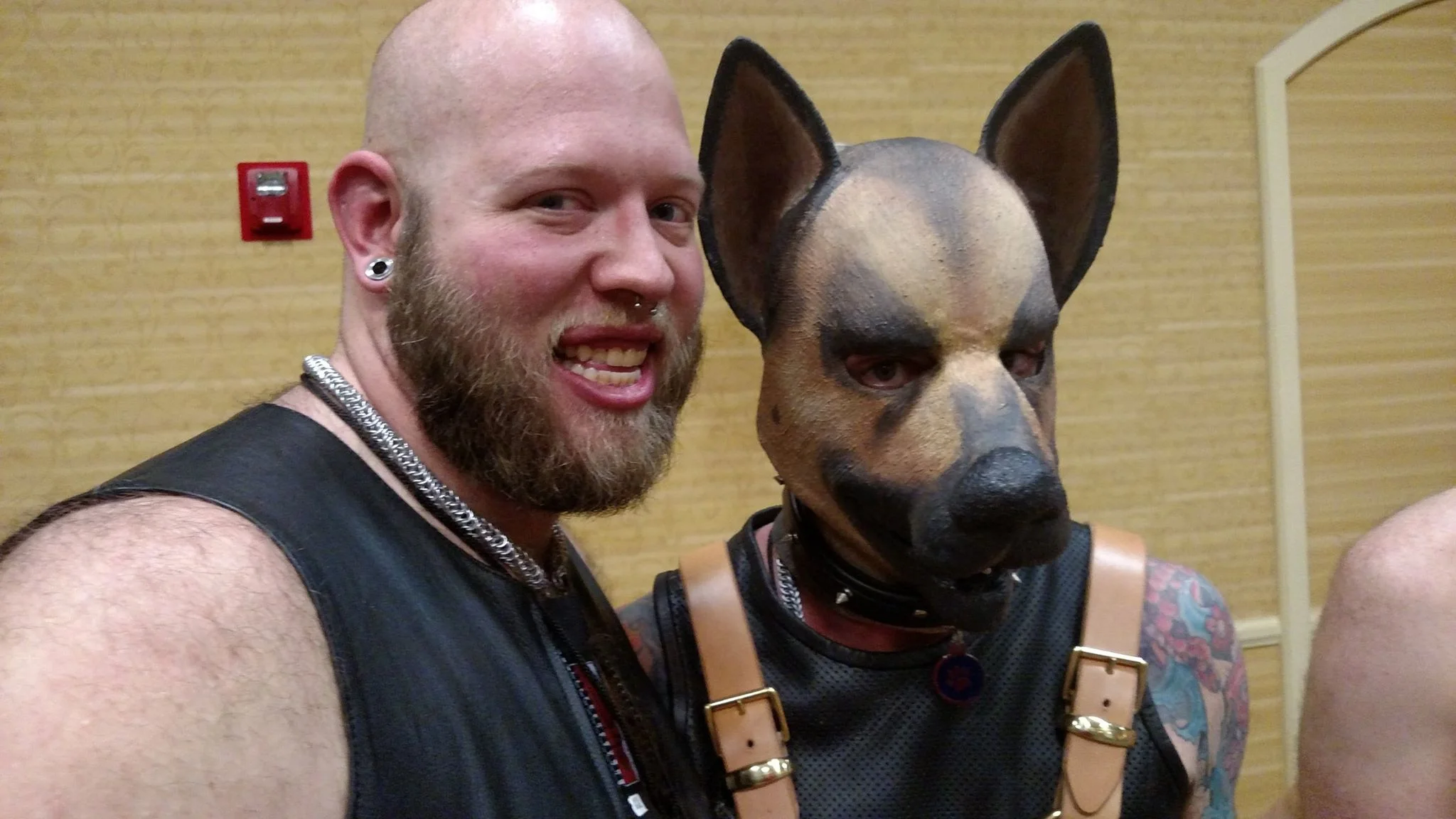 Pup Havok speaks