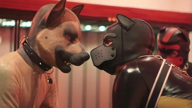 Human Pup Play on TV