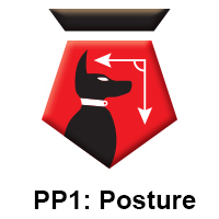 PP1 Posture.jpg