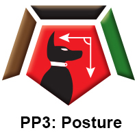 PP3 Posture.jpg