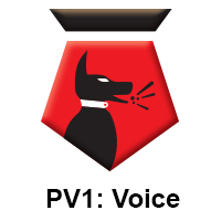 PV1 Voice.jpg