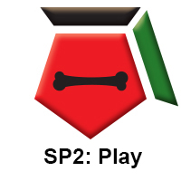 SP2 Play.jpg